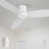 White/Light Wooden selected