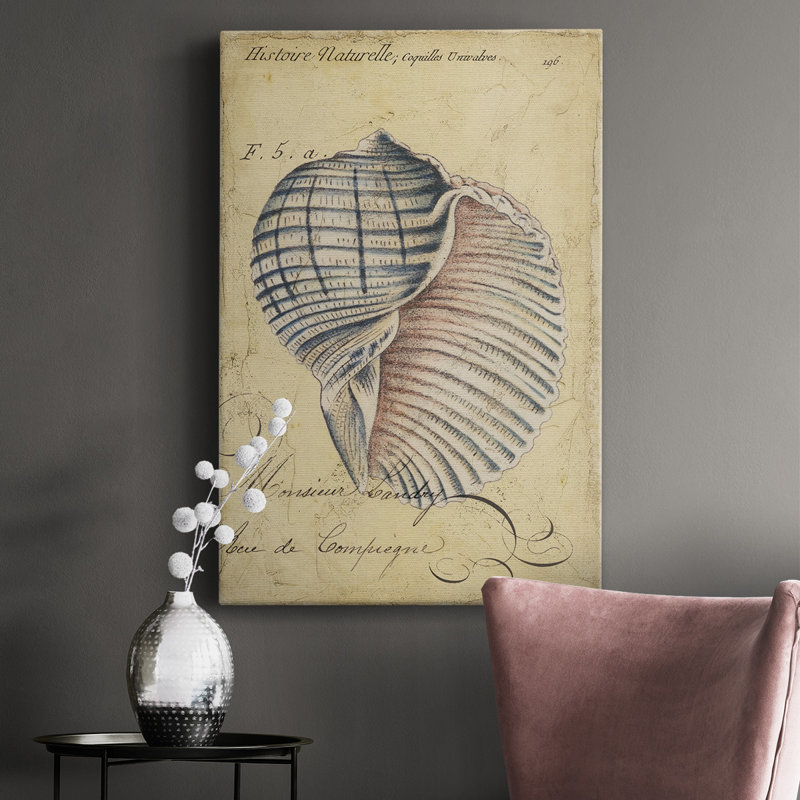 Seashell Ephemera V - impression sur toile tendue, H 12 po x l 8 po x P 1 po
