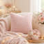 Coussin Teddy Teddy-130816759