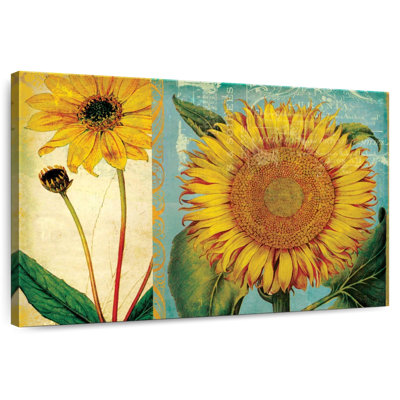 Harnek tournesol collage