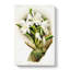Magnolia Flowers Illustration Tab.85 by Frederick Sander - Wrapped Canvas-55307881