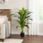 Fausse plante Dracaena en pot 47,25 po Mann