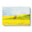 Lone Tree In A Yellow Meadow - Wrapped Canvas-56633322