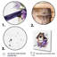 «Purple Lavender Birdhouse I», reproduction sur toile-88542794-88542801