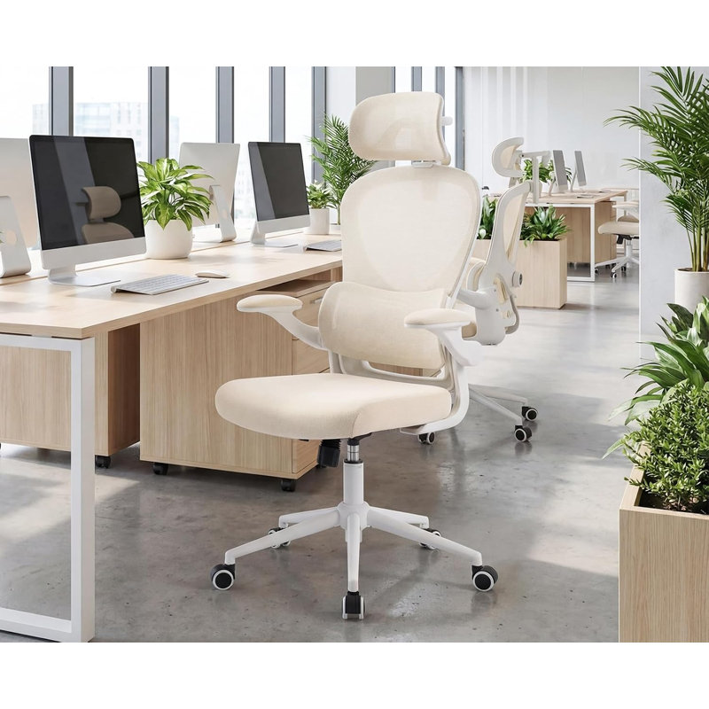 Ergonomic Mesh Office Chair with Adjustable Lumbar Support, 4D Headrest and Swivel Casters, High Back Computer Desk Chair for Home Workspace