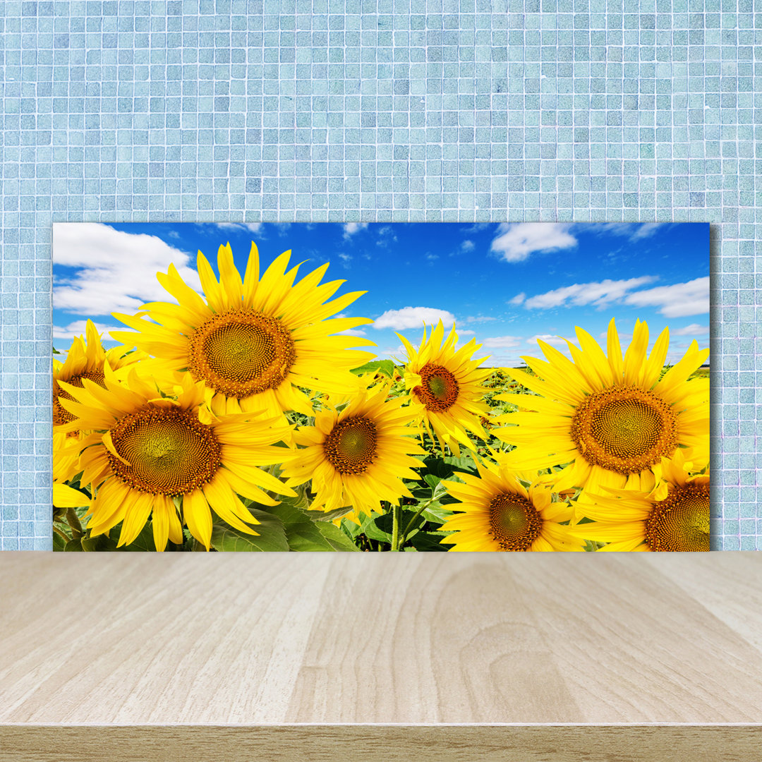 50 cm x 100 cm Glas Spritzschutzpaneel Sonnenblumen