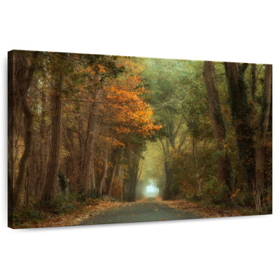 Mehar Picturesque Country Road
