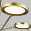 Spectica 8 Chandelier-1448756093
