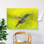 Hummingbird In Costa Rica - Wrapped Canvas-56634228