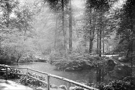 The central park ramble-reproduction de photo, H 20 po x l 30 po x P 1,5 po
