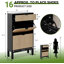 16 Pair Shoe Storage Cabinet
