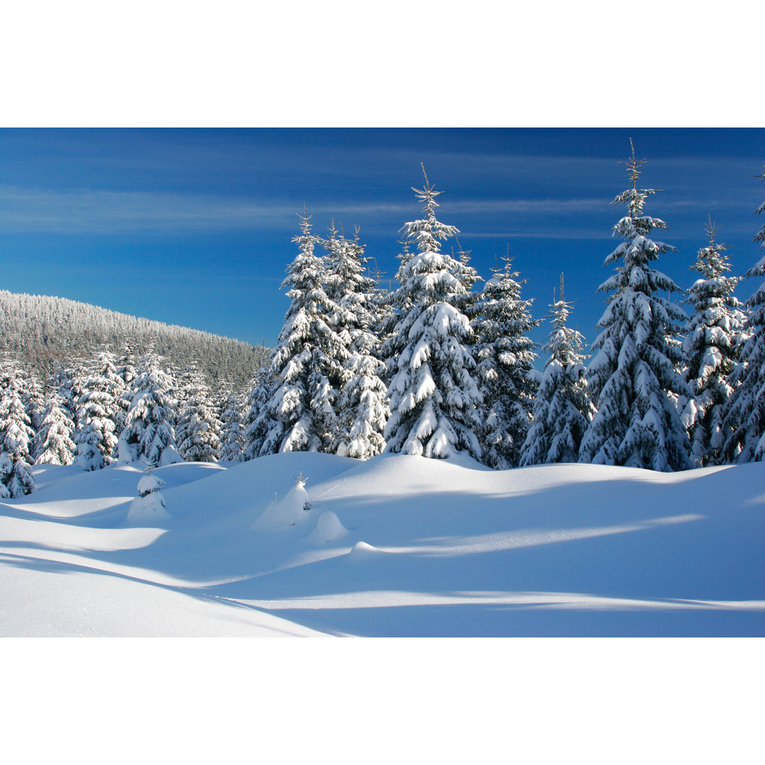 Winterlandschaft von AVTG - Druck