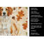 Serviette de cuisine orange et blanche Brittany-2083471952