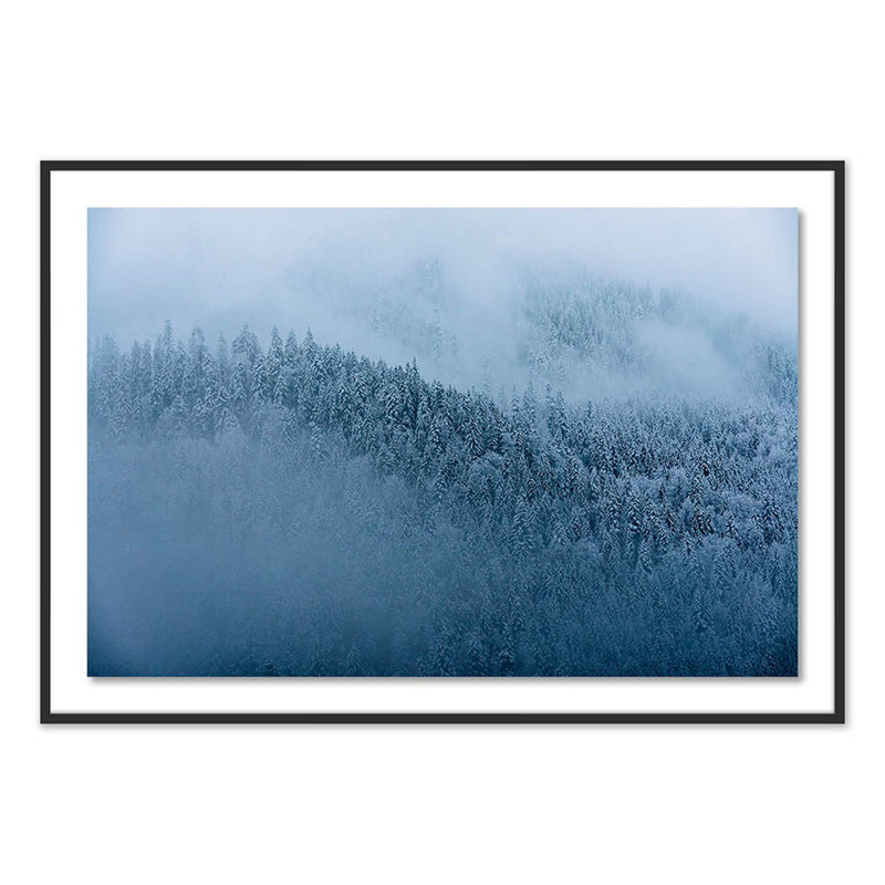 Winter Trees II Print by Michael Schauer, Black, 42" H x 60" W x 2.5" D