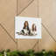 Basset hound, Basset hound-65595759