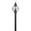 Jolie Outdoor 4-Light Lantern Head