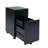 15.5'' Wide 2 -Drawer Mobile File Cabinet-23752566