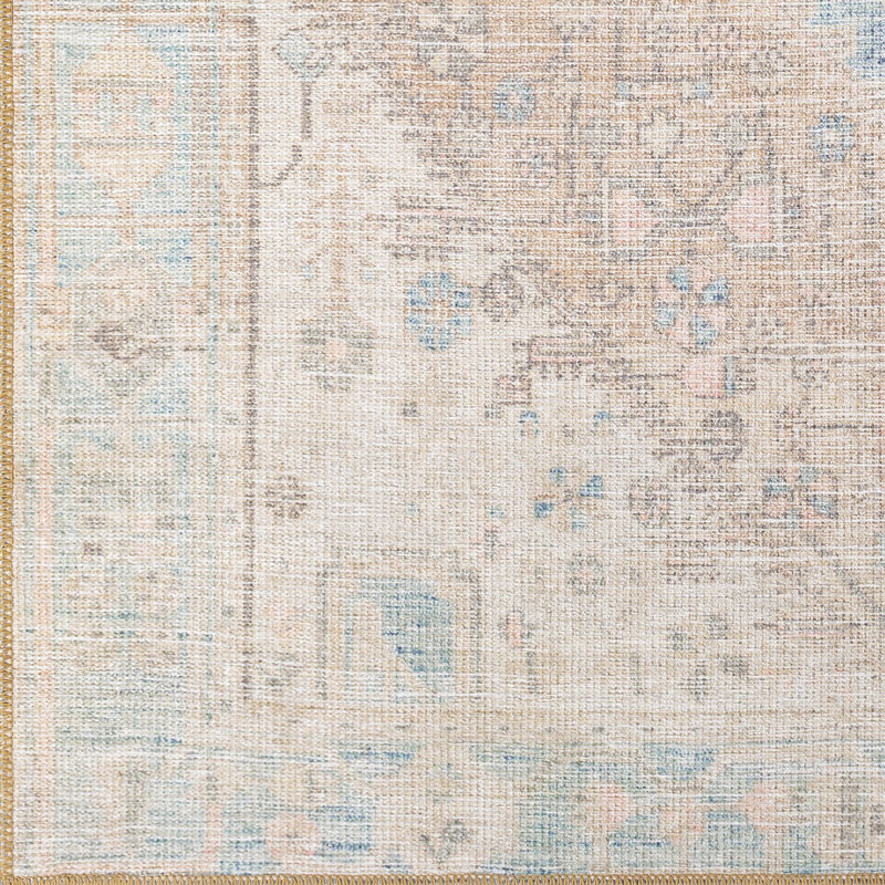 Chavarria Oriental Aqua/Beige/Pink Area Rug, Rectangle 7'6" x 9'6"