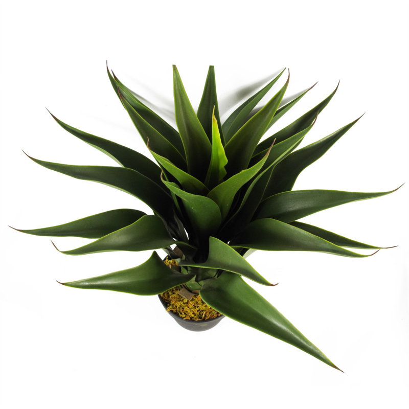 55cm Faux Yucca Tree in Pot Liner