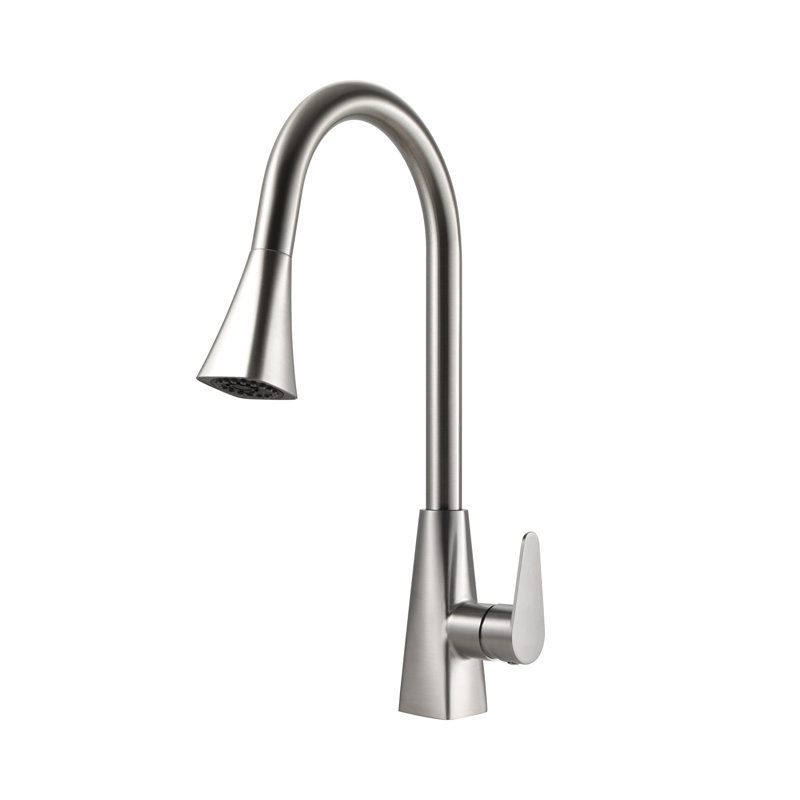 Robinet de cuisine à poignée simple, Empreinte digitale en nickel brossé