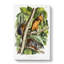 Red-Bellied Squirrels by J.W. Audubon - Wrapped Canvas-55342214