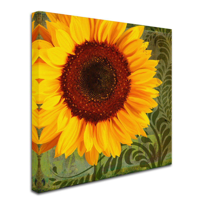 « summer sun i », reproduction d’impression sur toile tendue, H 35 po x l 35 po