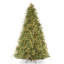 The Holiday Aisle® Tiffany Fir Tree with Clear Lights-1230861643