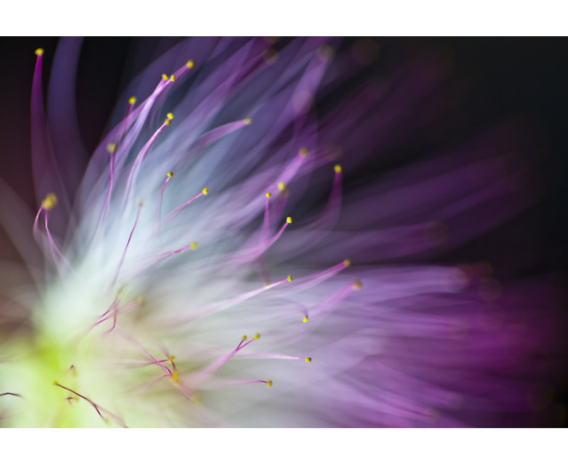 Wrapped Canvas Print, 81.28 cm H x 121.92 cm W