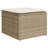Vidaxl Garden Sofa Set Beige