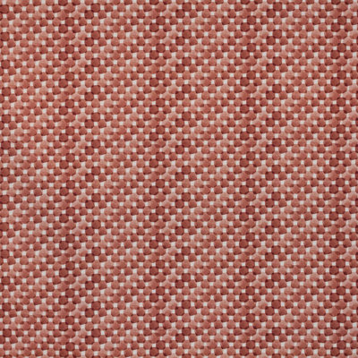 Nouvel Suite Stonetrail 100% Cotton Fabric