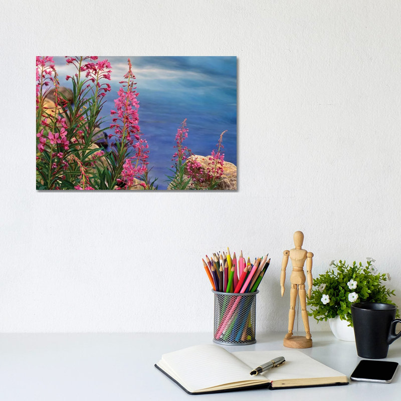 Fireweed Against Flowing Stream, North America by Tim Fitzharris - Wrapped Canvas Print, 20.32 cm H x 30.48 cm W