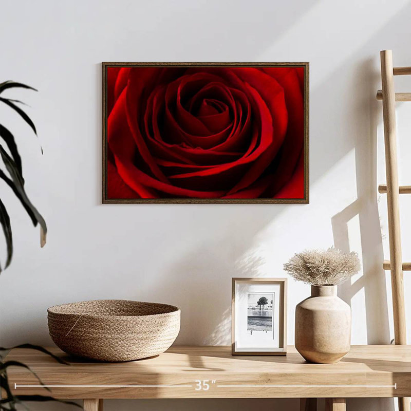 Rose rouge Saint-Valentin, 19 po x 13 po, Cadre flottant noyer