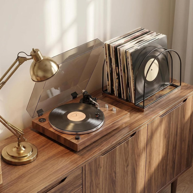 Rangement pour disques vinyles en bois, présentoir pour disques vinyles et 33 tours, porte-revues, rangement pour CD et DVD, étagère de rangement pour albums, brun