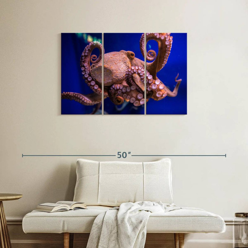 Brampt Octopus Prowess, 24" H x 38" W