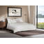 Aida Flat Sheet-36503882-36503887