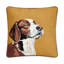 Coussin brodé Camp Wandawega