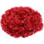 Ebrar Polyvinyl Chloride (PVC) 4.01cm Tinsel