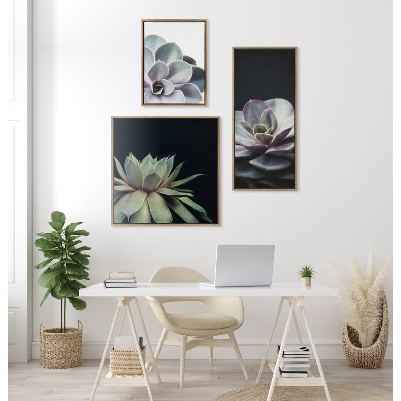 «Succulent 8» par Emiko et Mark Franzen, reproduction d'art sur toile encadrée, H 30 po x l 30 po, Doré