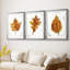 Étude de feuilles d'automne I - Impression sur mesure encadrée de qualité supérieure - 3 pièces