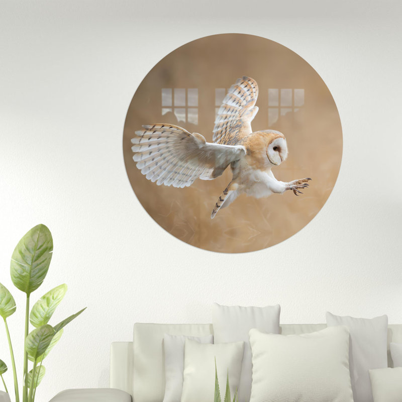 Grande œuvre d'art en forme de chouette effraie en verre trempé idéale pour la décoration de chambre et les amateurs d'art mural animal