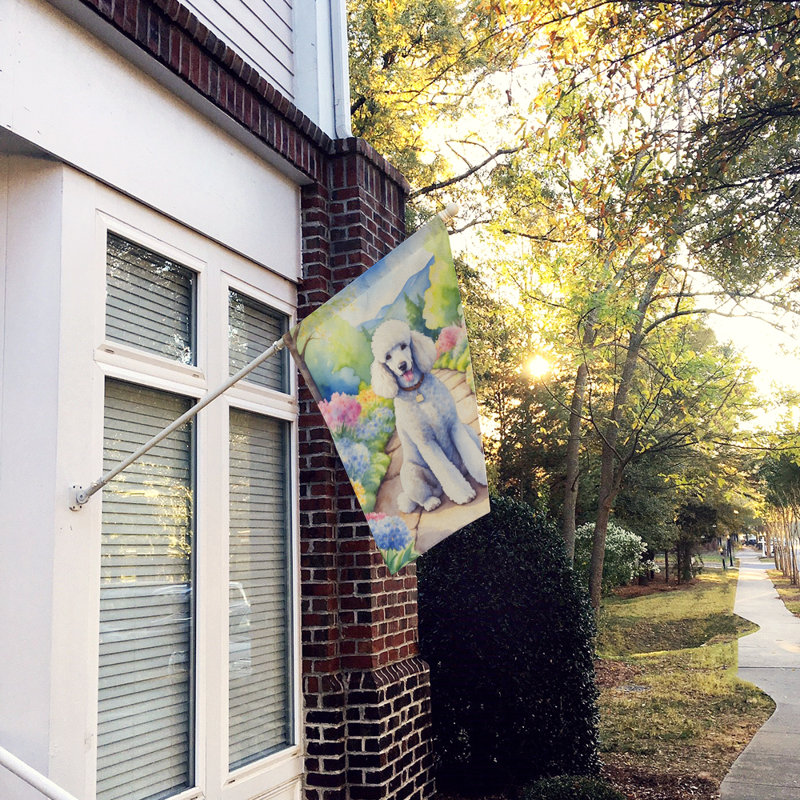 Drapeau de maison en polyester à double face H 40 po x l 28 po Talani
