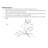 24" Ceiling Fan ½" Inner Diameter Downrod White Compatible with Fans-1151415012-1151415013