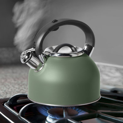Bouilloire à sifflet en acier inoxydable (1,9 l, 64 oz)
