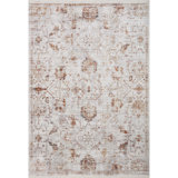 Oriental Area Rug in Silver/Sunset