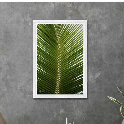 Palmier tropical