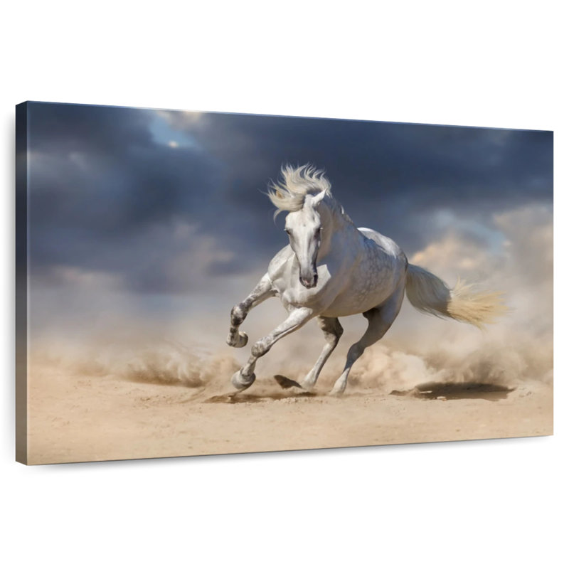 Brampt Andalusian Horse Sprint, 16" H x 24" W