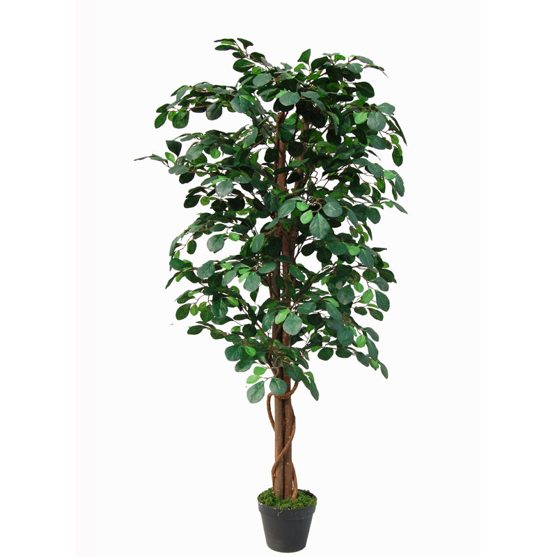 Tradala Trees 135cm Faux Coin Tree in Pot, Black