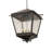 Madeline 10 - Light Steel Dimmable Lantern Square / Rectangle Chandelier