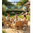 All-Weather Outdoor Dining Sets - Rust-Resistant Modern Outdoor Dining Sets For Backyard Garden Deck Poolside 4-Table 8-Chairs-126708468