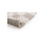 Takehito Oriental Area Rug-1855160673